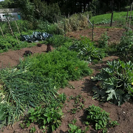 De La Providence Bed and breakfast 3*