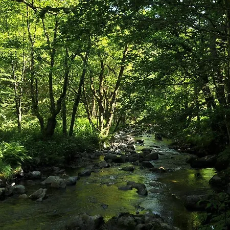 De La Providence Bed and breakfast