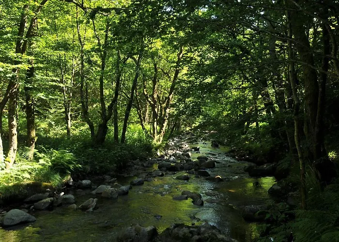 De La Providence Bed and breakfast